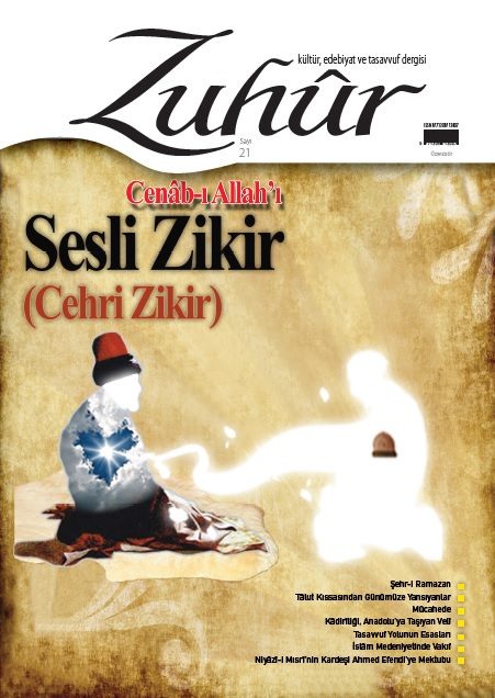 21. Sayı kapağı